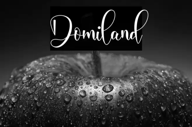 Domiland Font examples