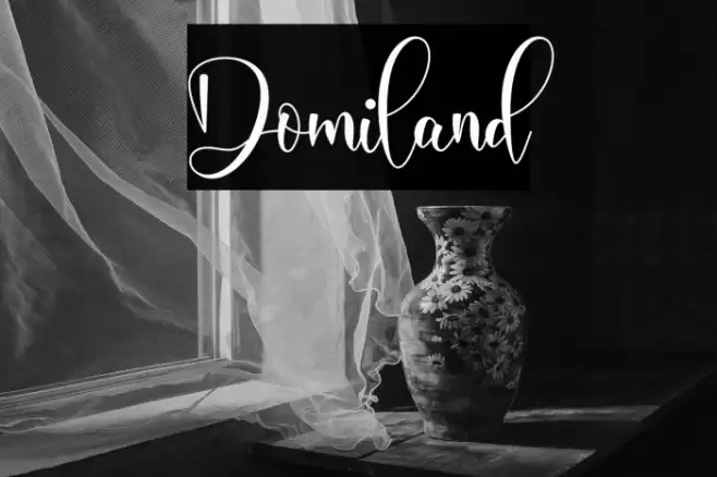 Domiland Font examples