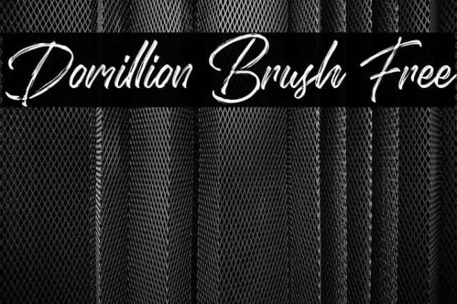 Domillion Brush Free Font examples