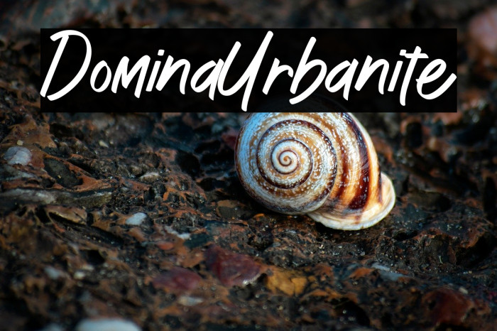 DominaUrbanite Example 3