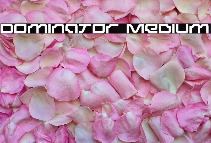 Dominator Medium Example 2