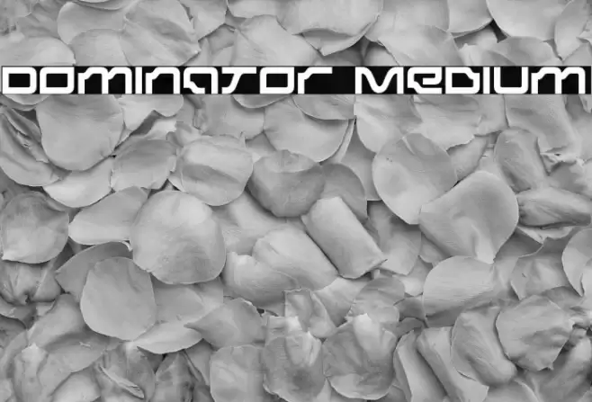 Dominator Medium Font examples