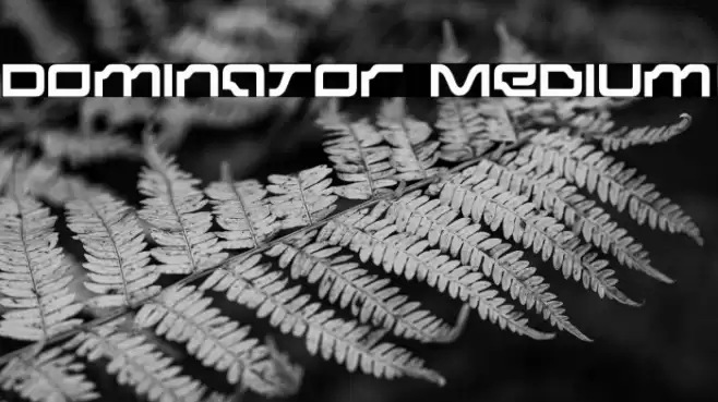Dominator Medium Font examples