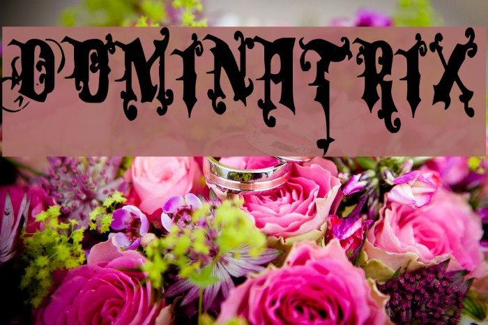 Dominatrix Font examples