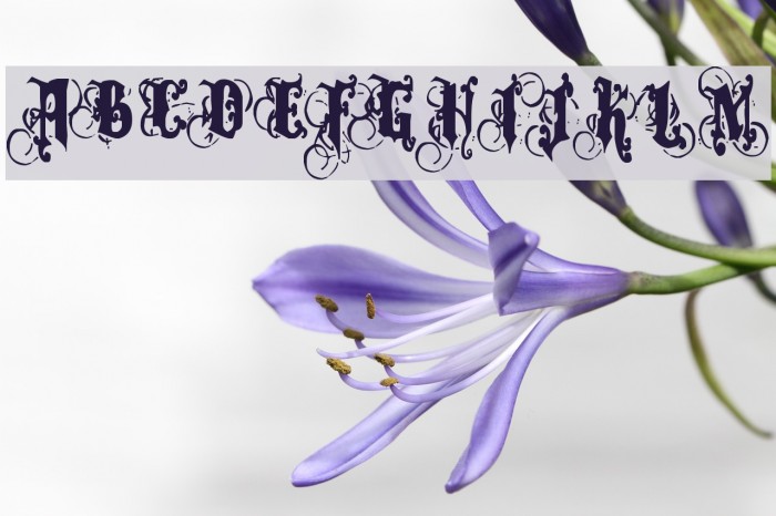 Dominatrix Font examples