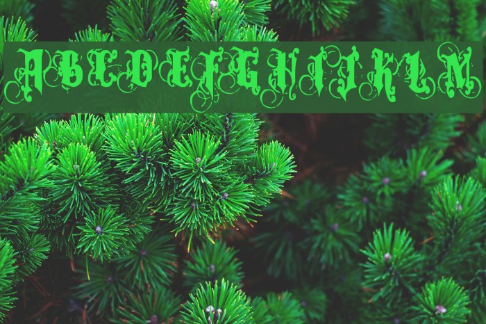 Dominatrix Font examples