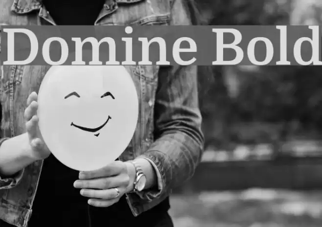 Domine Bold Font examples