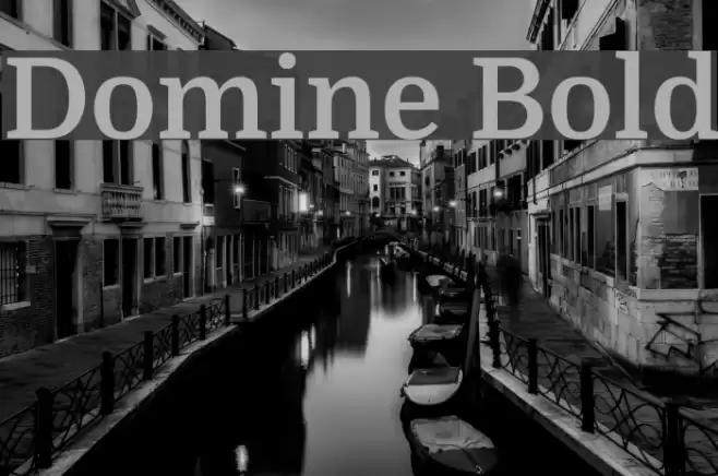 Domine Bold Font examples
