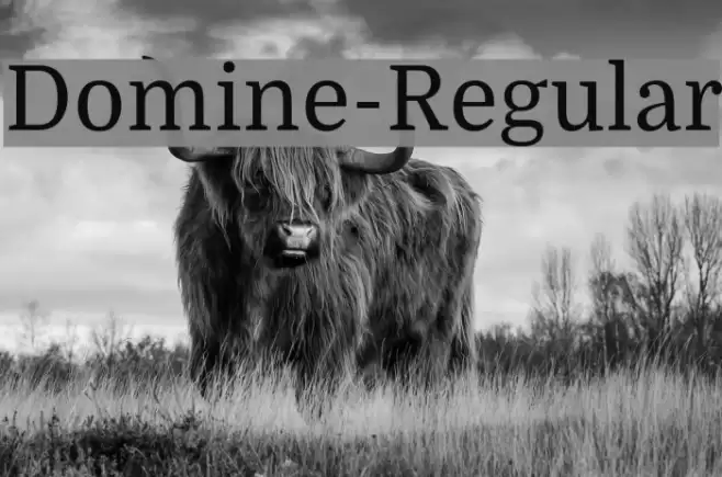 Domine-Regular Font examples