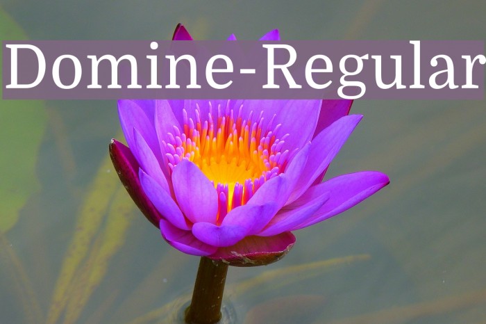 Domine-Regular Font examples