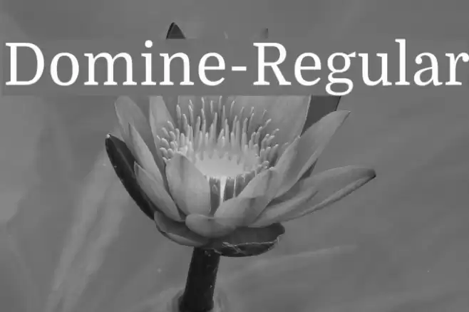 Domine-Regular Font examples