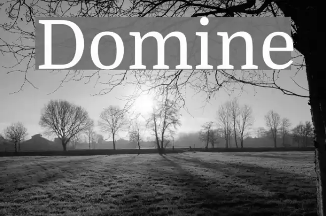 Domine Font examples
