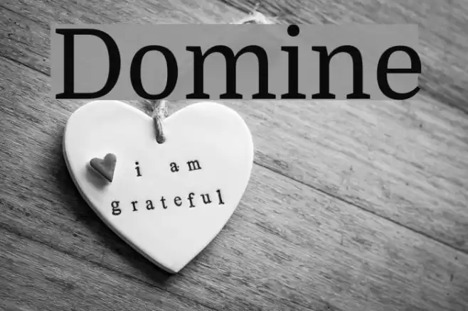 Domine Font examples
