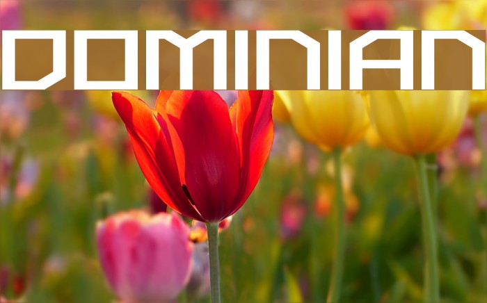 Dominian Font examples