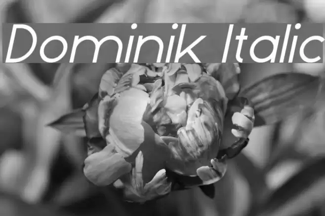 Dominik Italic Font examples