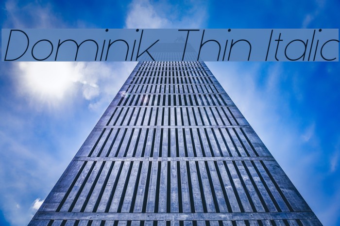 Dominik Thin Italic Font examples