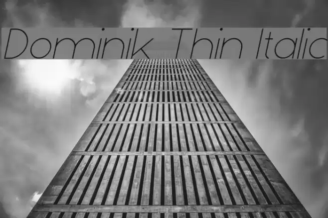 Dominik Thin Italic examples