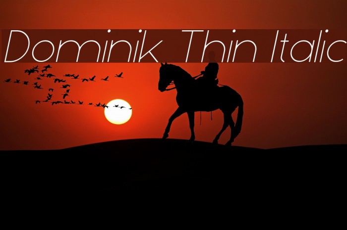 Dominik Thin Italic Font examples