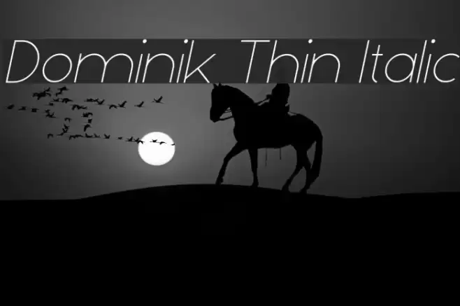 Dominik Thin Italic examples