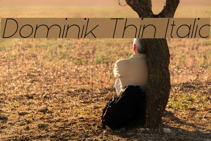 Dominik Thin Italic Font examples