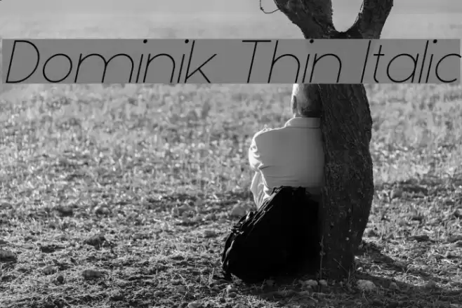 Dominik Thin Italic examples