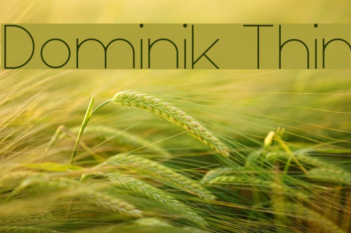 Dominik Thin Font examples