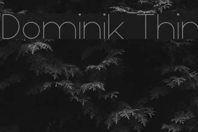 Dominik Thin Font examples
