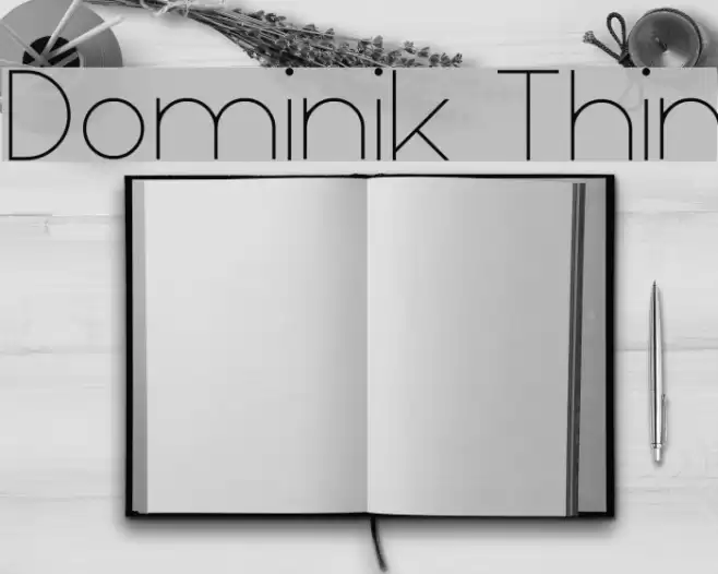 Dominik Thin Font examples