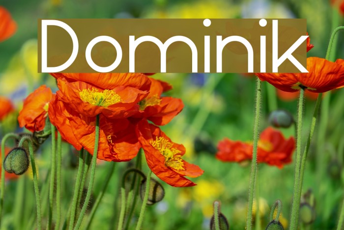 Dominik Font examples