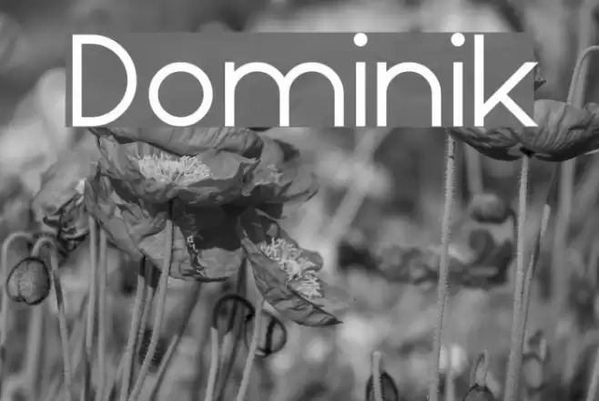 Dominik Шрифта examples