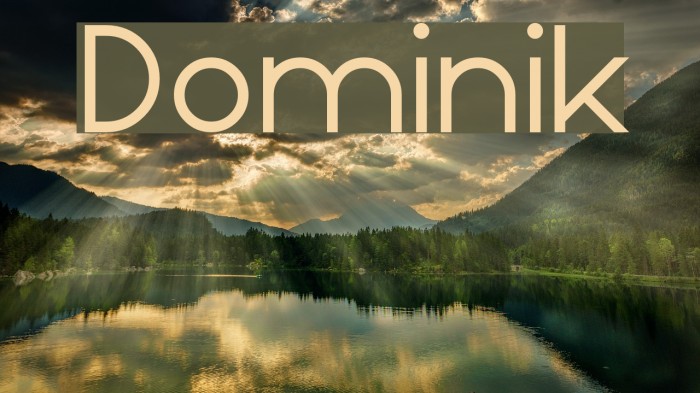 Dominik Font examples