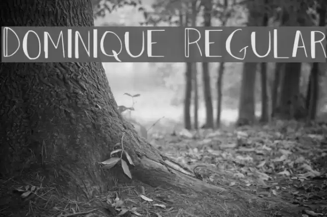 Dominique Regular Font examples