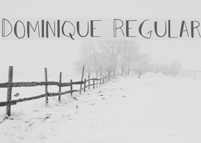 Dominique Regular Font examples