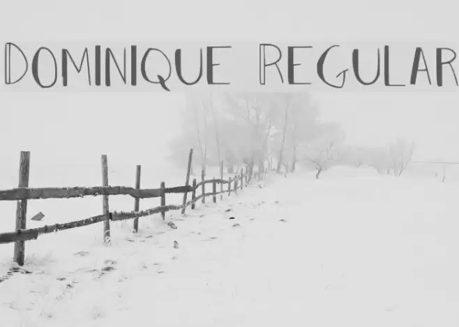 Dominique Regular Font examples
