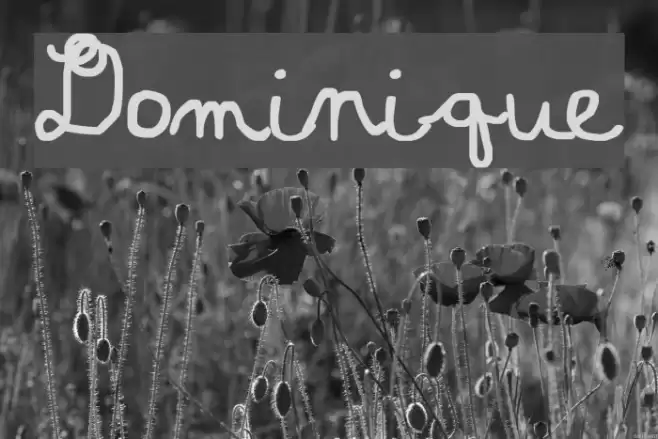Dominique Font examples
