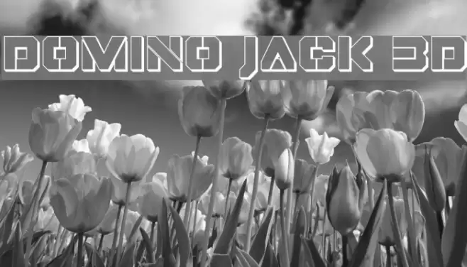 Domino Jack 3D Schriftart examples