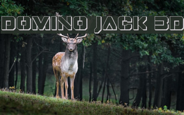 Domino Jack 3D Font examples