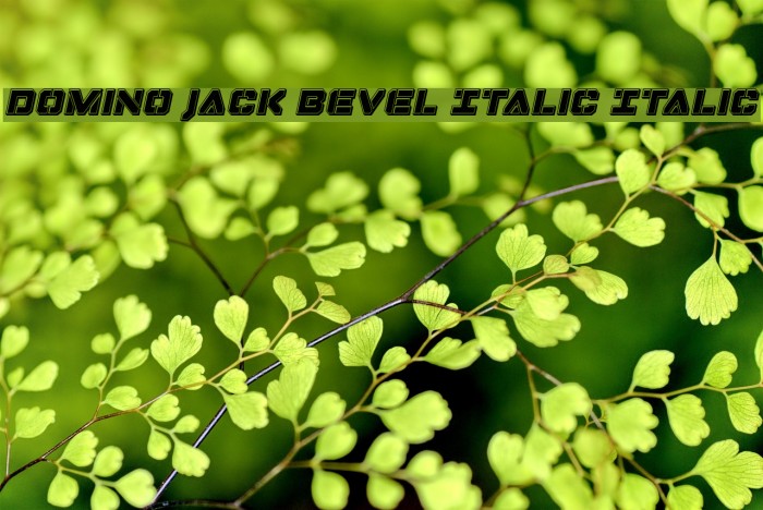 Domino Jack Bevel Italic Italic Example 1