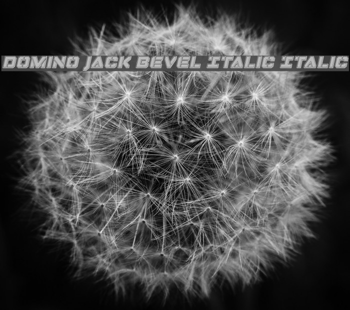 Domino Jack Bevel Italic Italic Example 2