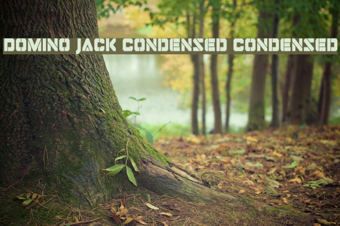 Domino Jack Condensed Condensed Example 3