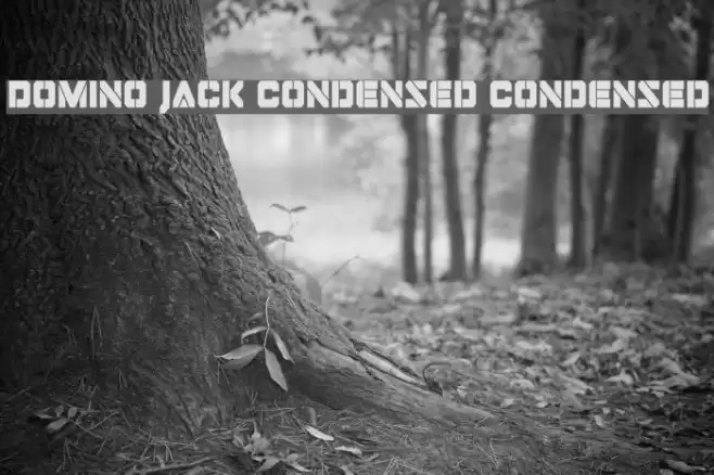 Domino Jack Condensed Condensed Font examples