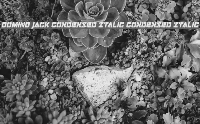Domino Jack Condensed Italic Condensed Italic Font examples