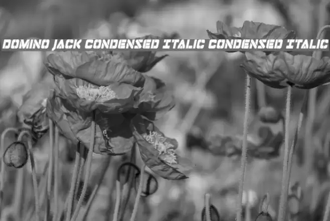 Domino Jack Condensed Italic Condensed Italic Font examples