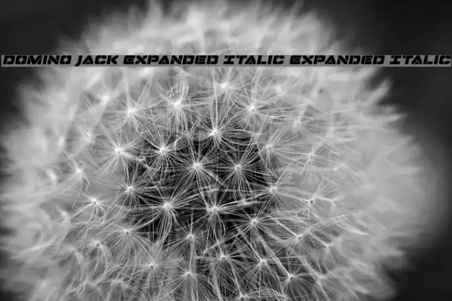 Domino Jack Expanded Italic Expanded Italic Font examples