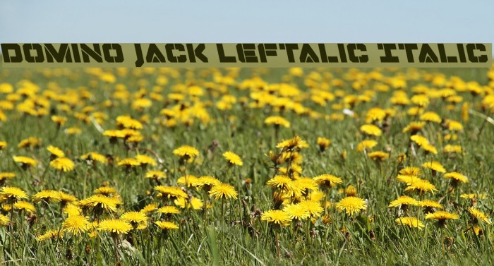 Domino Jack Leftalic Italic Font examples