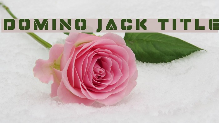 Domino Jack Title フォント examples