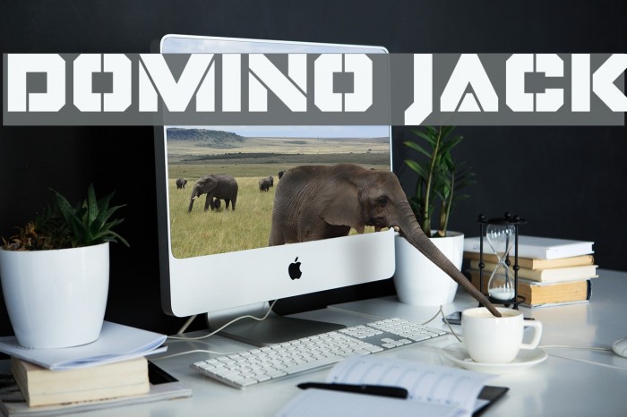 Domino Jack Font examples