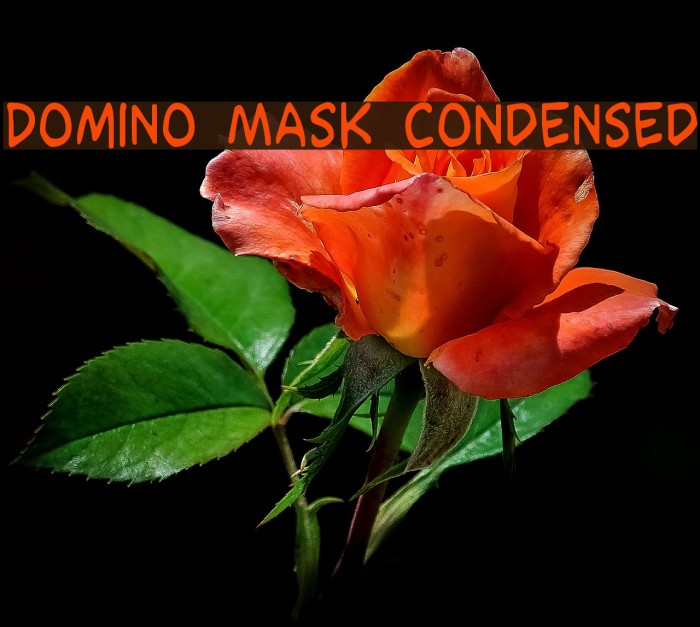 Domino Mask Condensed Font examples