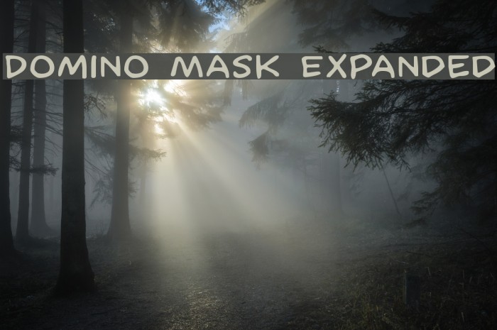 Domino Mask Expanded Example 1