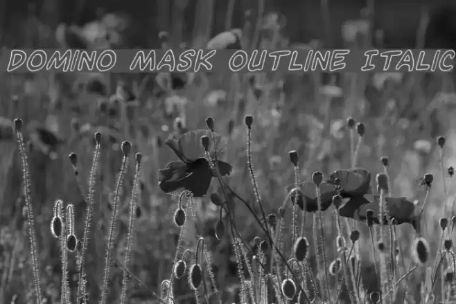 Domino Mask Outline Italic フォント examples